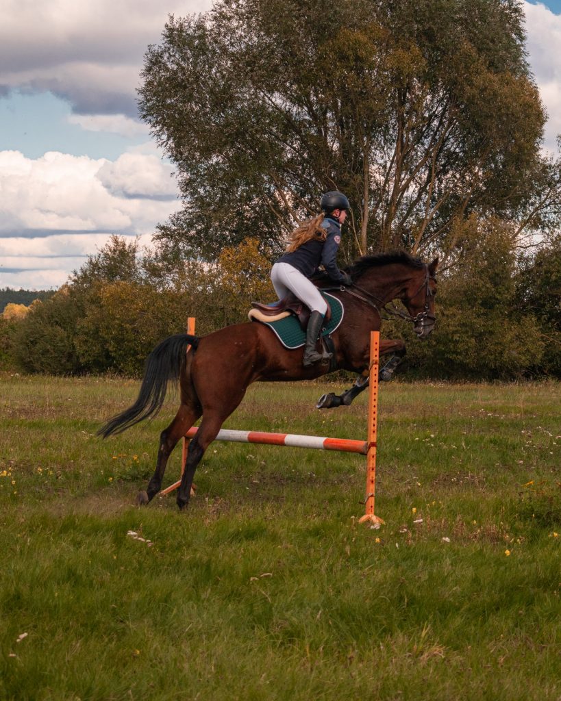 Darren Yaw’s daughter and a horse practicing.